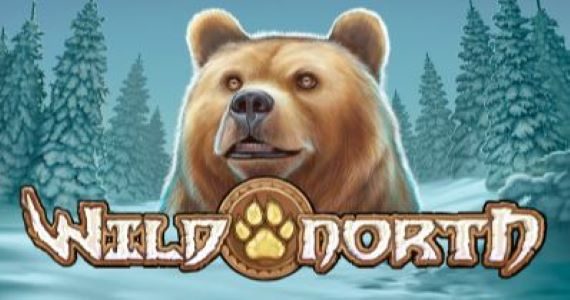 Wild North pokie game NZ