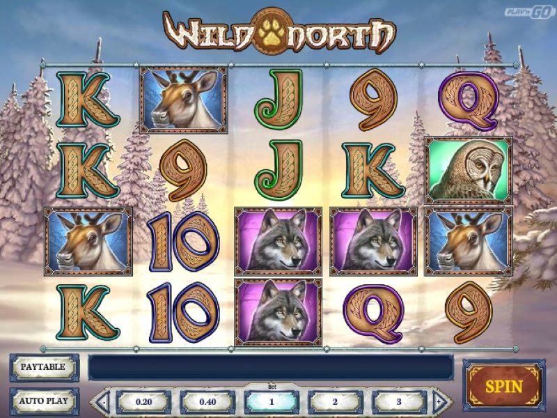 Wild North game view nz