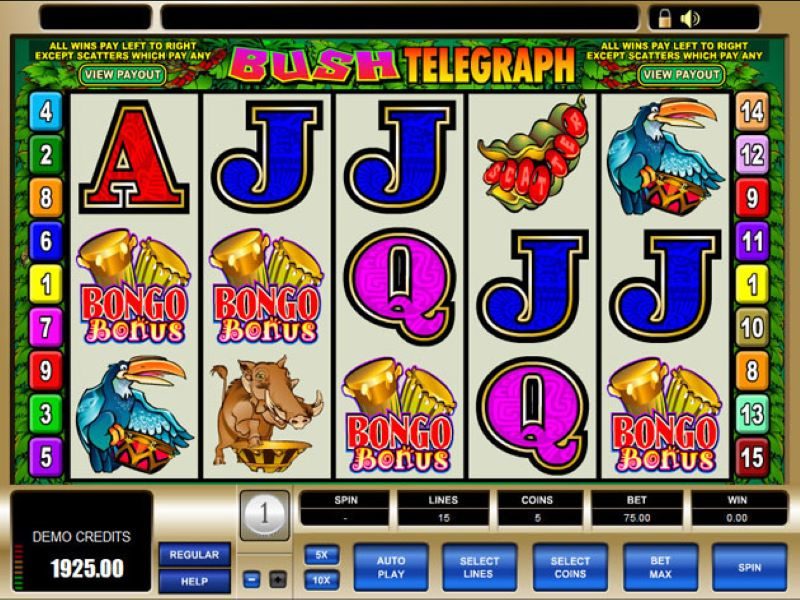 Bush Telegraph game view NZ