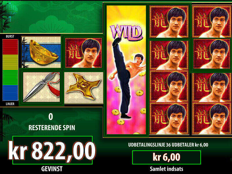 Bruce Lee pokie game nz